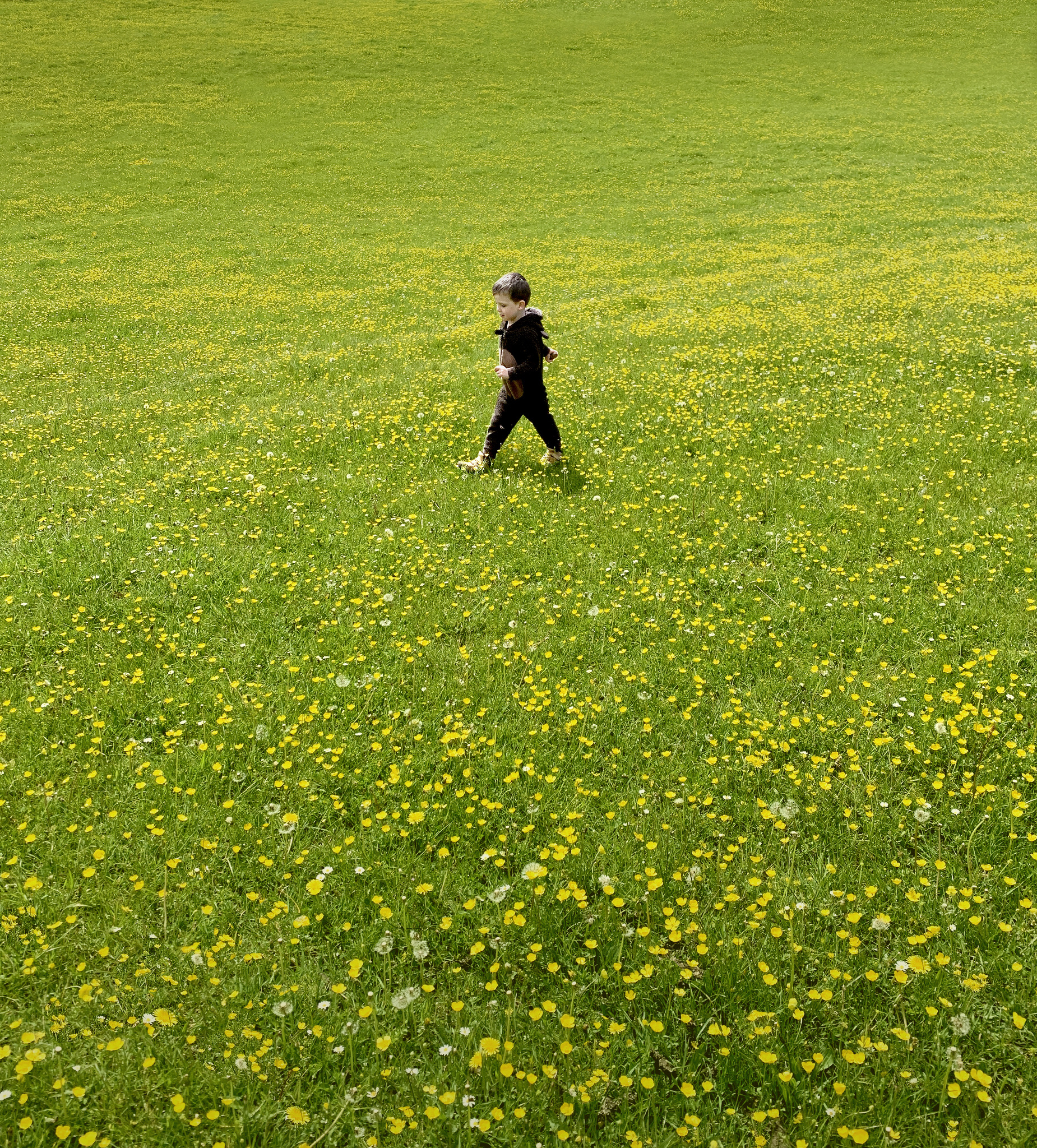 © Rob Hayman Photography Basildon - UK