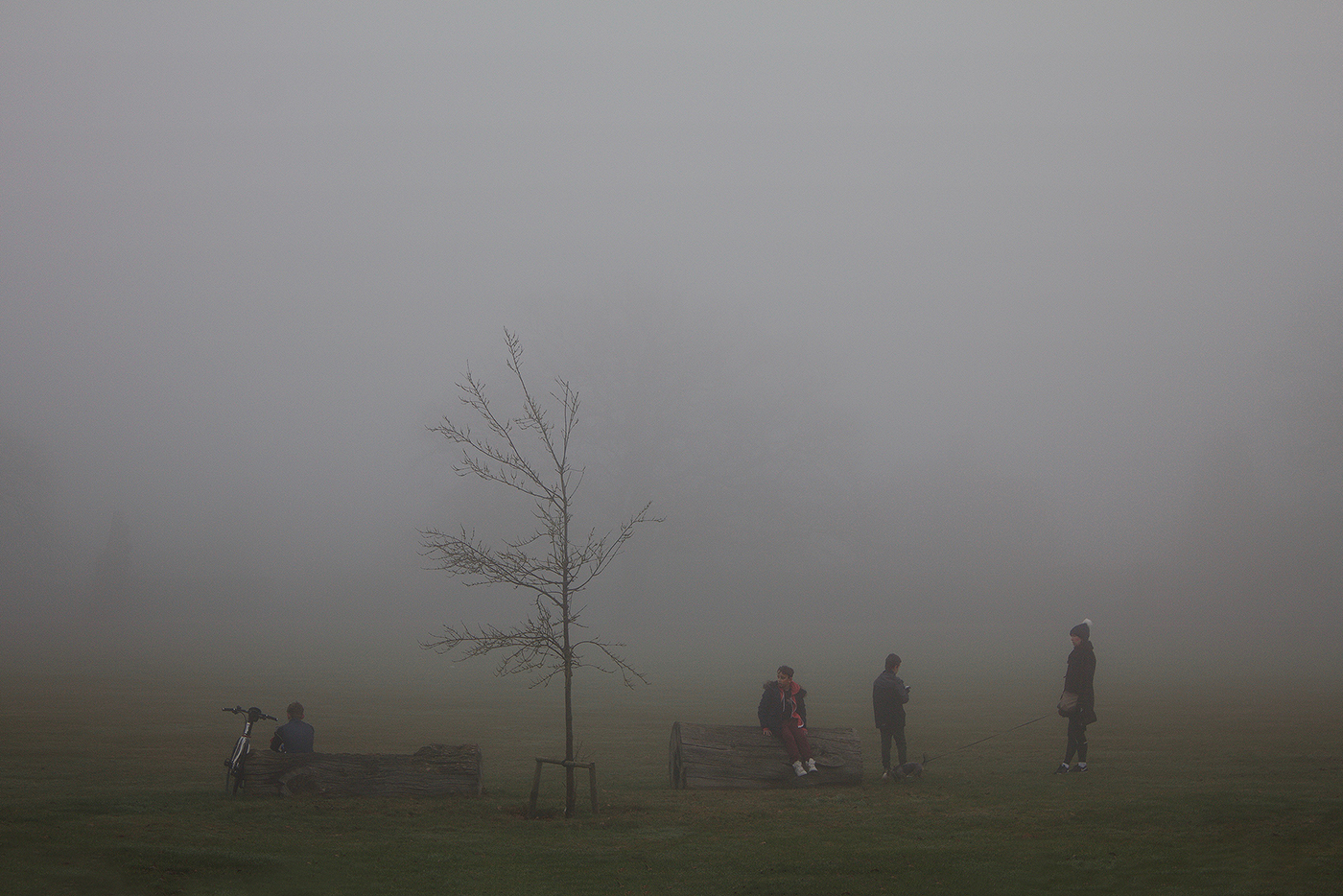 ©Rob Hayman Photography Windsor Park - UK Fog
